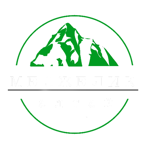 Логотип в круге